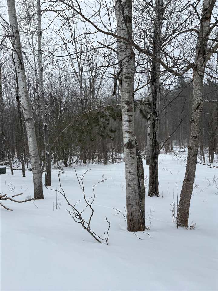 5 Red Pine Run Charlevoix MI 49720