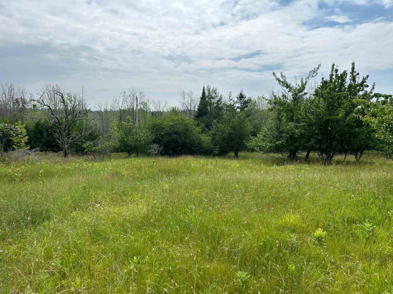 Tbd East Side Drive Beaver Island MI 49782