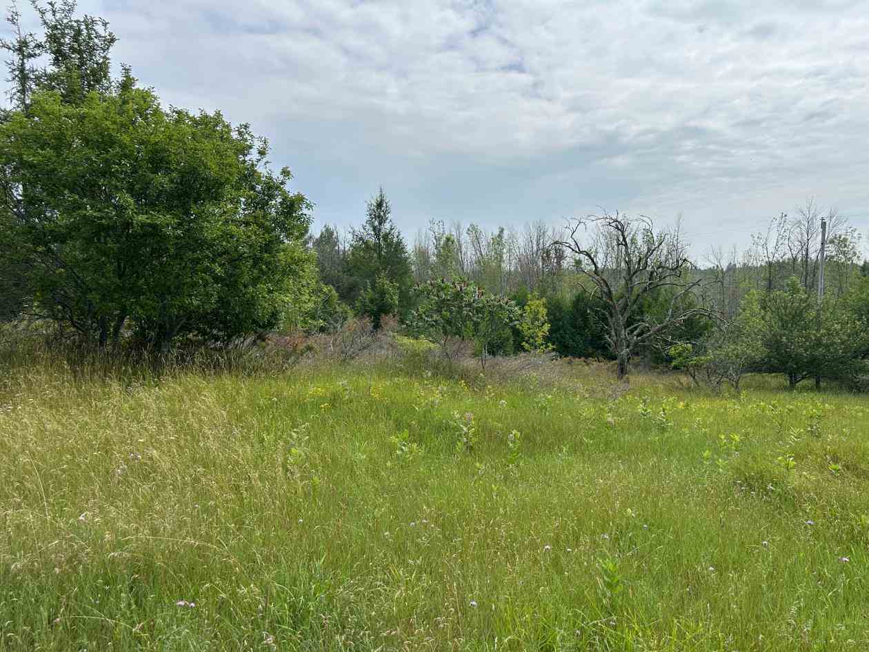 Tbd East Side Drive Beaver Island MI 49782