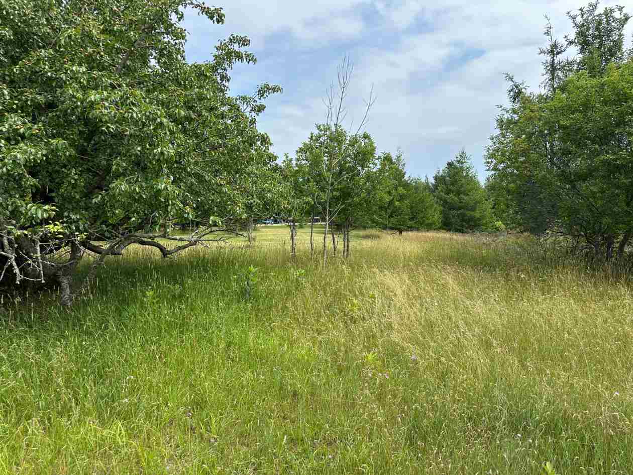 Tbd East Side Drive Beaver Island MI 49782