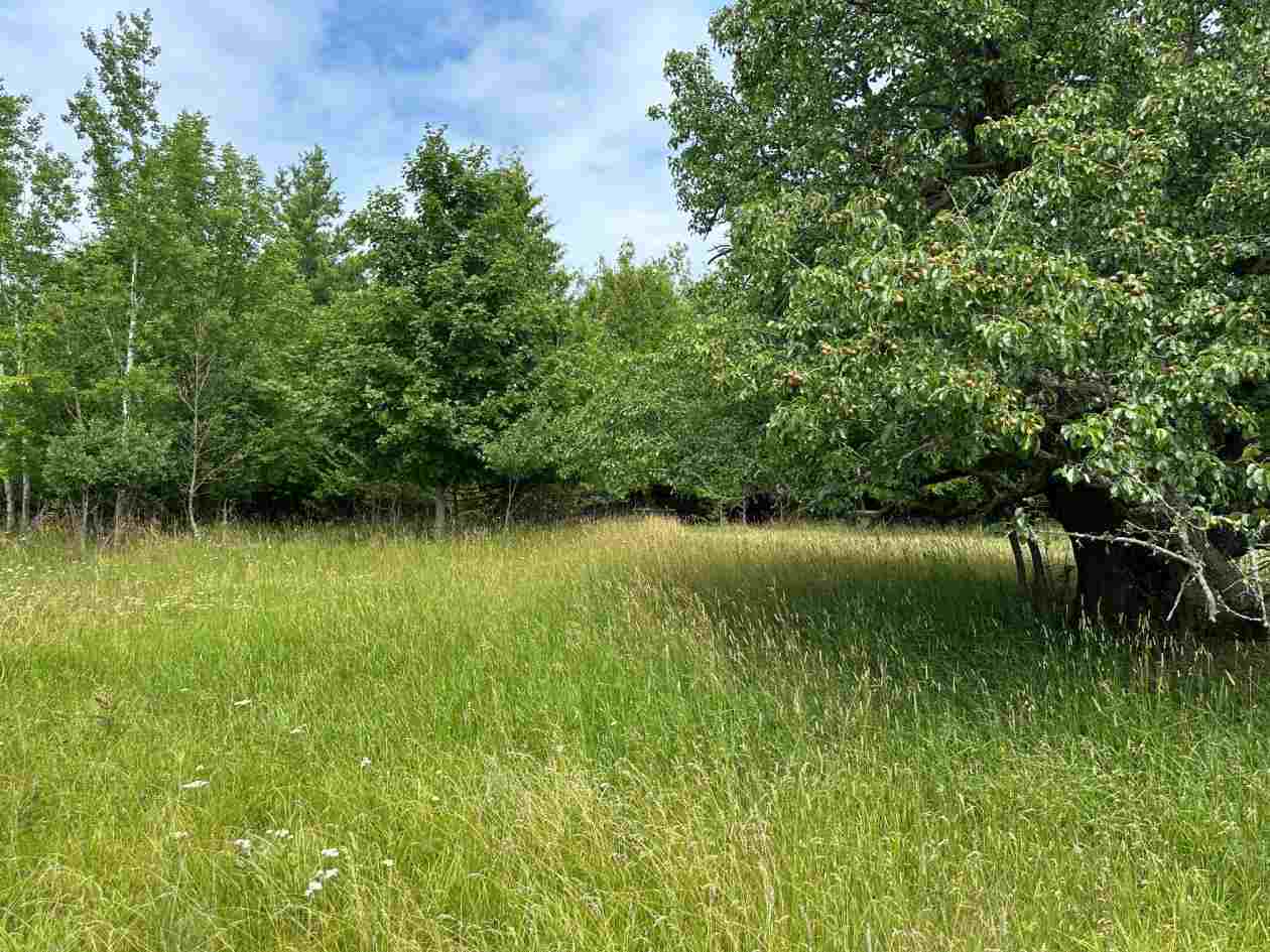 Tbd East Side Drive Beaver Island MI 49782