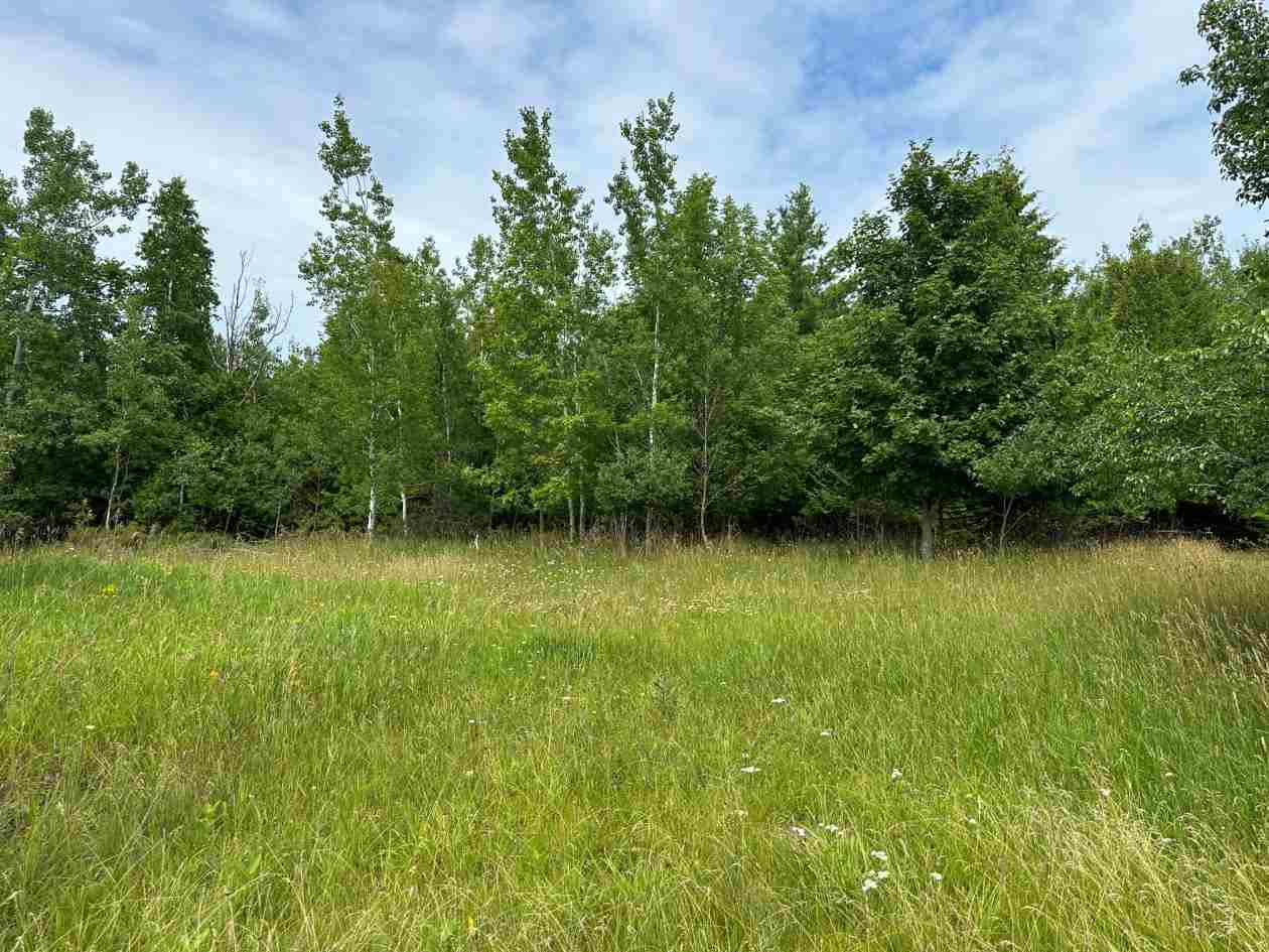 Tbd East Side Drive Beaver Island MI 49782