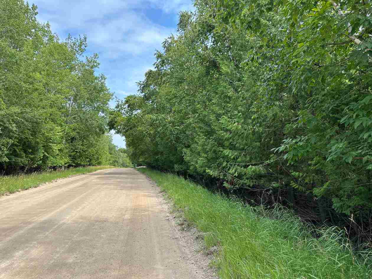 Tbd East Side Drive Beaver Island MI 49782