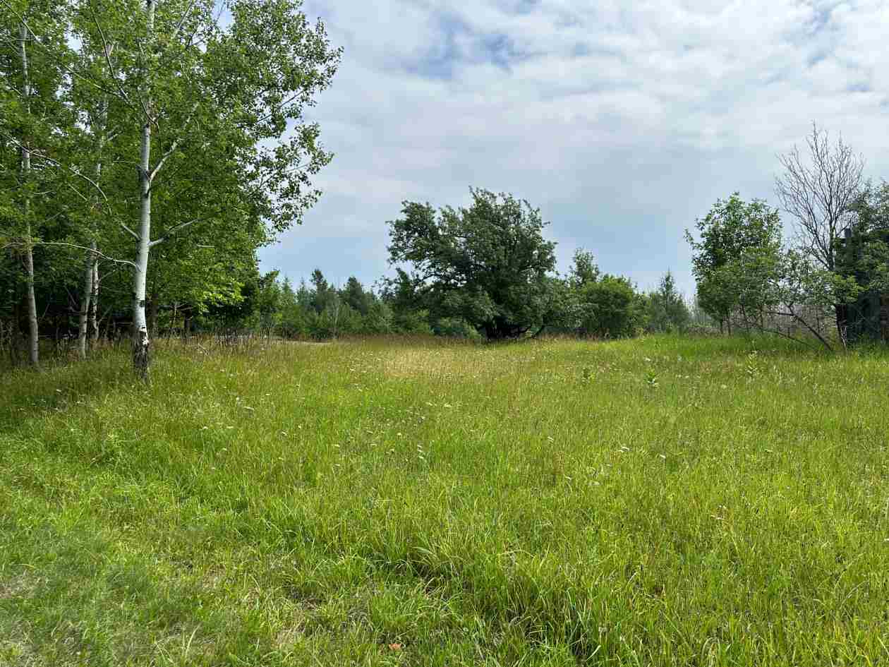 Tbd East Side Drive Beaver Island MI 49782