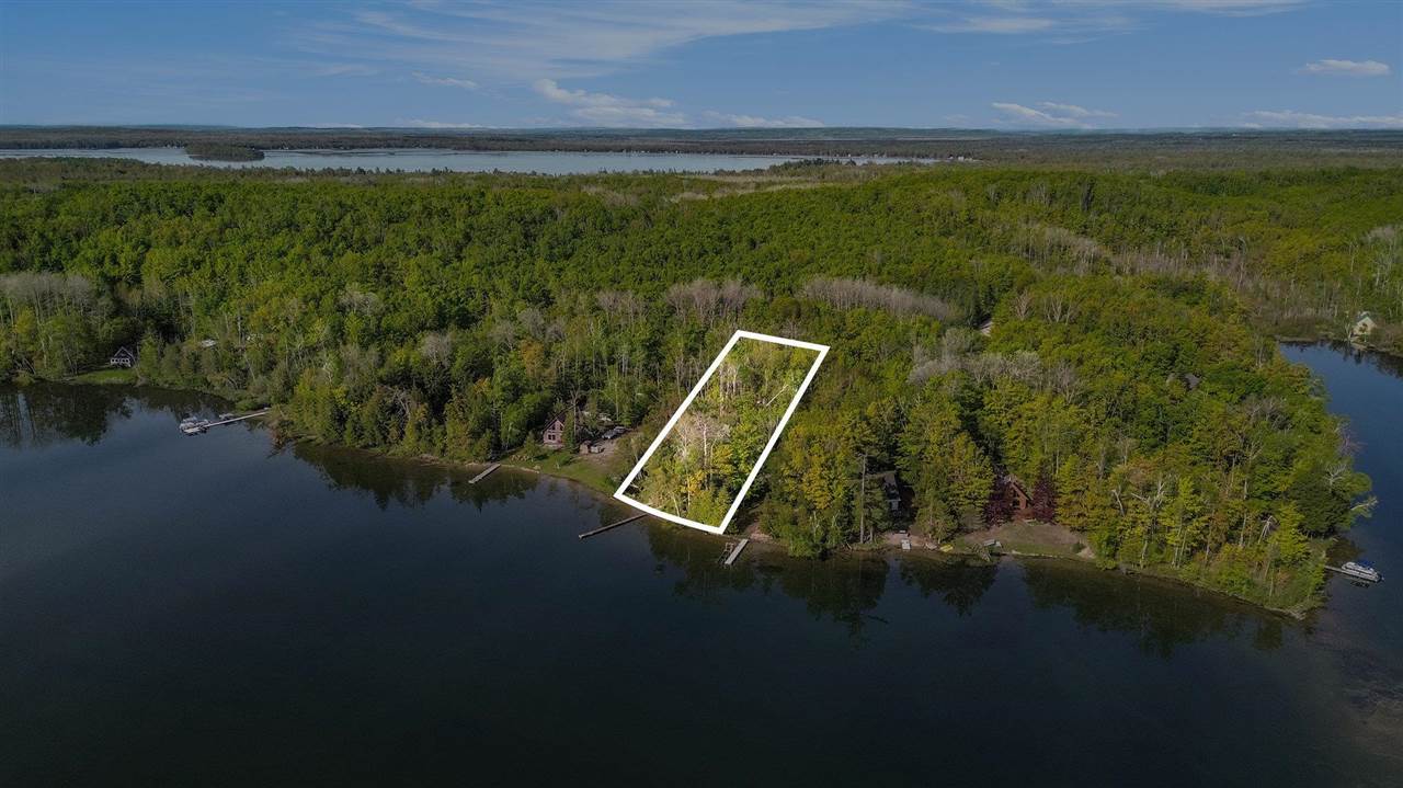 10222 W Munro Lake Drive Levering MI 49755