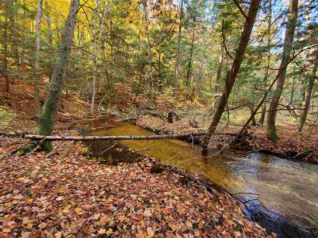 Lot 27 Alden Meadows Alden MI 49612