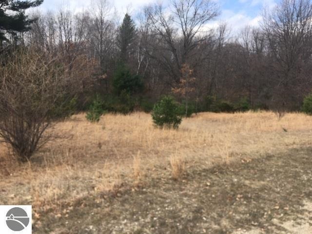 Lot 27 Alden Meadows Alden MI 49612