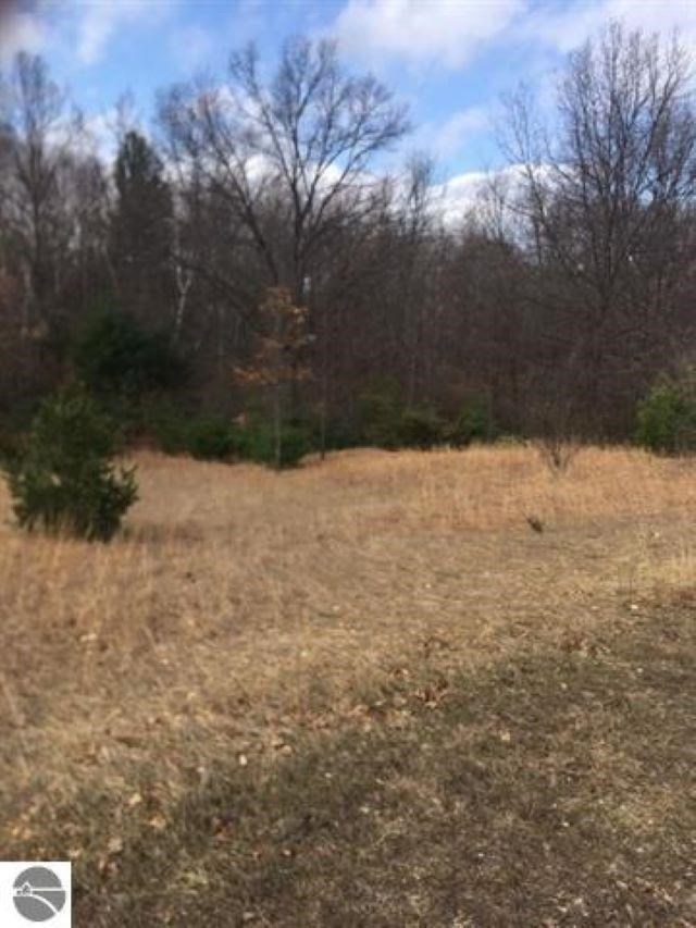 Lot 27 Alden Meadows Alden MI 49612