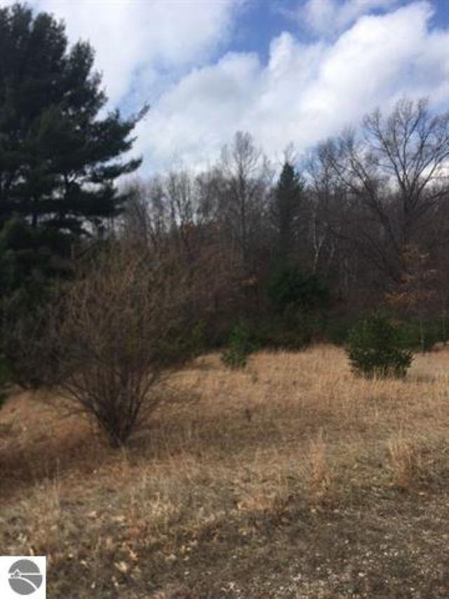 Lot 27 Alden Meadows Alden MI 49612