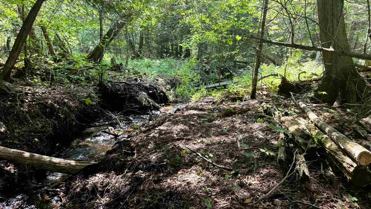 Tbd E Old State Road East Jordan MI 49727