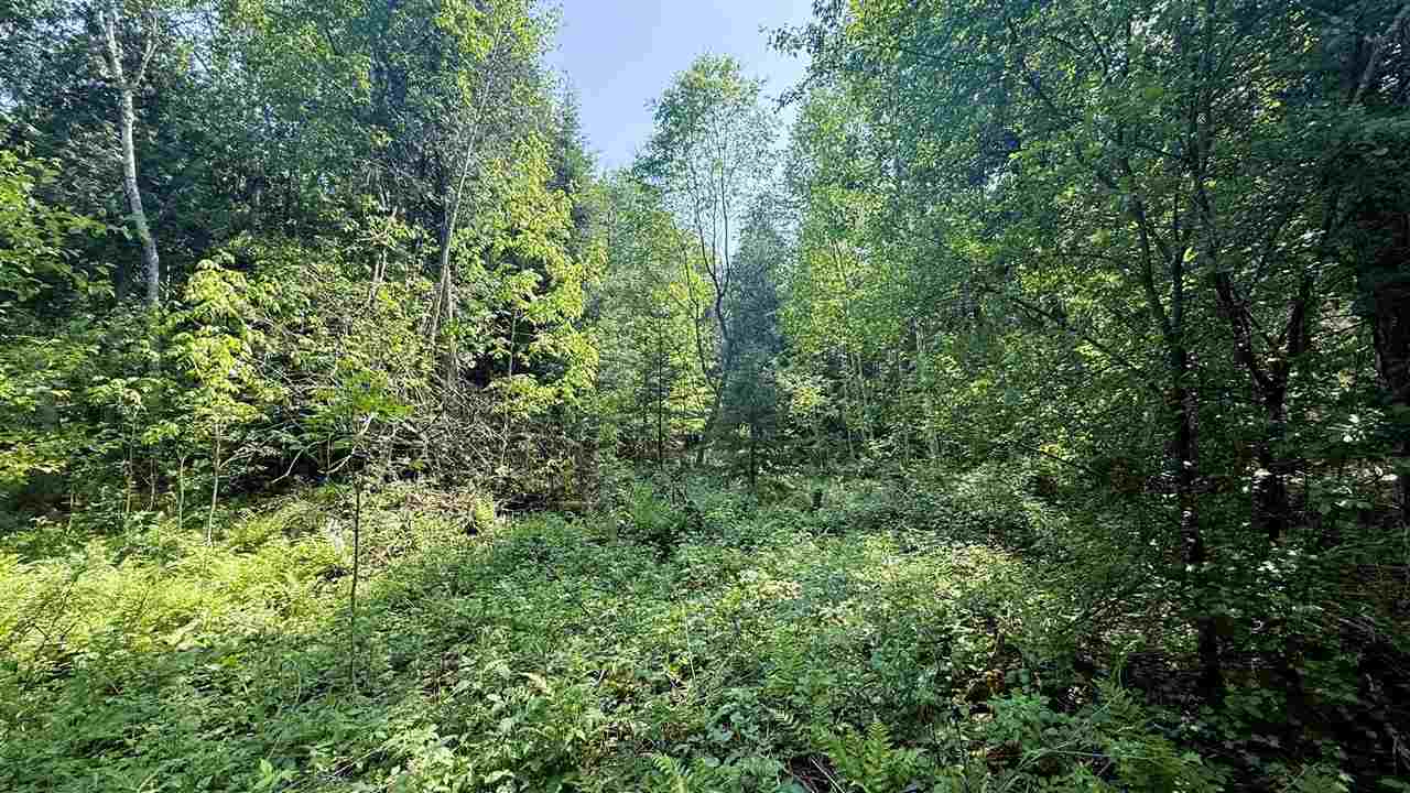Tbd E Old State Road East Jordan MI 49727