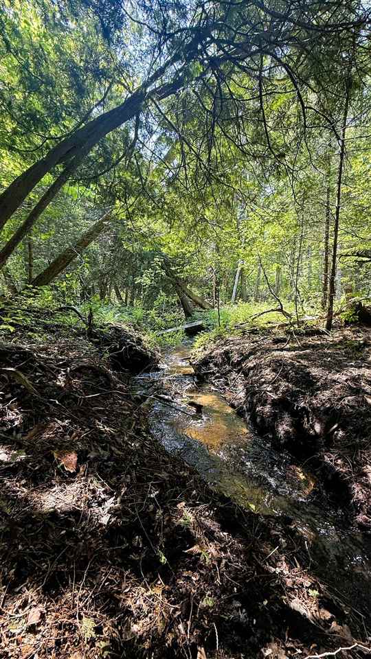 Tbd E Old State Road East Jordan MI 49727