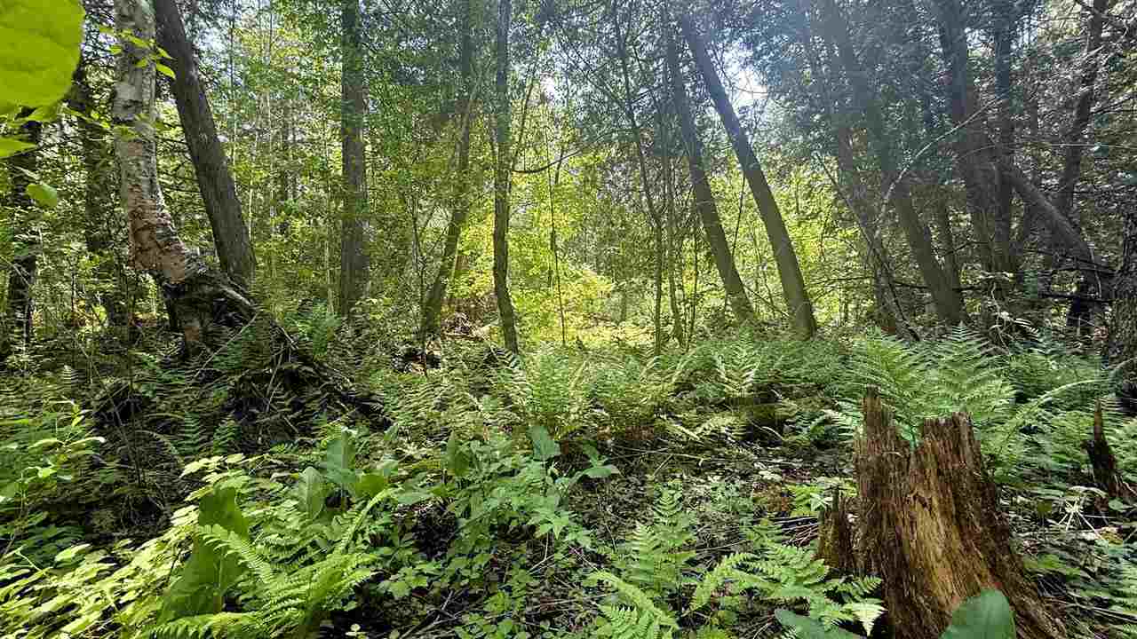 Tbd E Old State Road East Jordan MI 49727