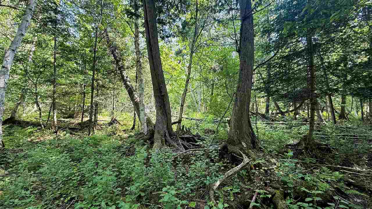 Tbd E Old State Road East Jordan MI 49727