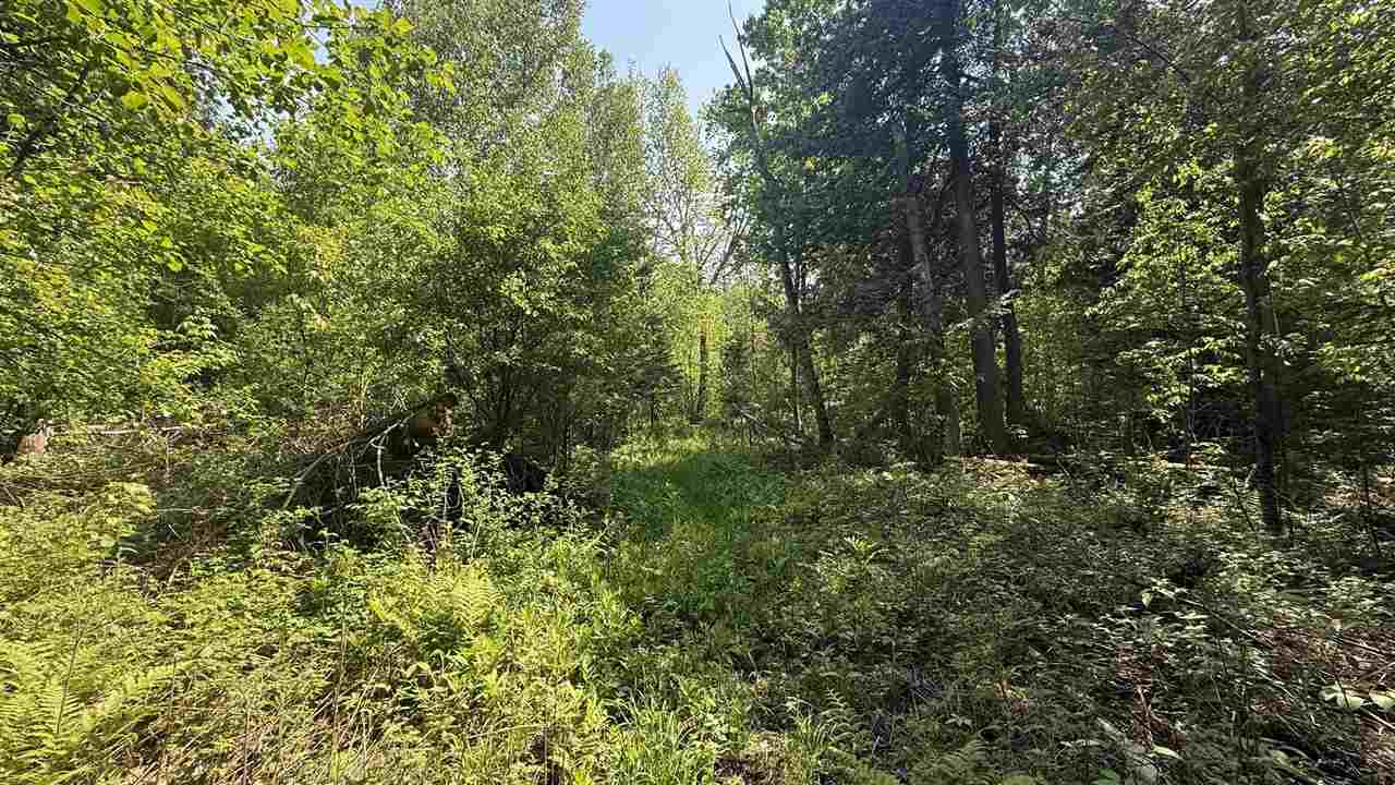 Tbd E Old State Road East Jordan MI 49727