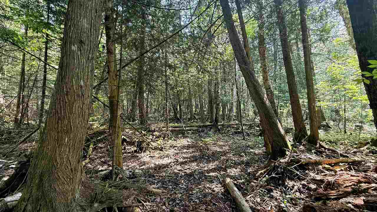 Tbd E Old State Road East Jordan MI 49727