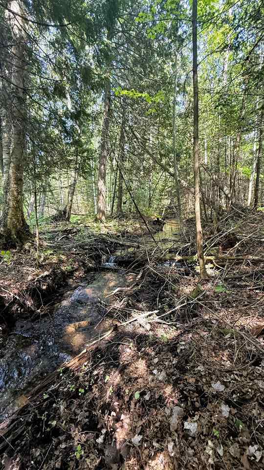 Tbd E Old State Road East Jordan MI 49727