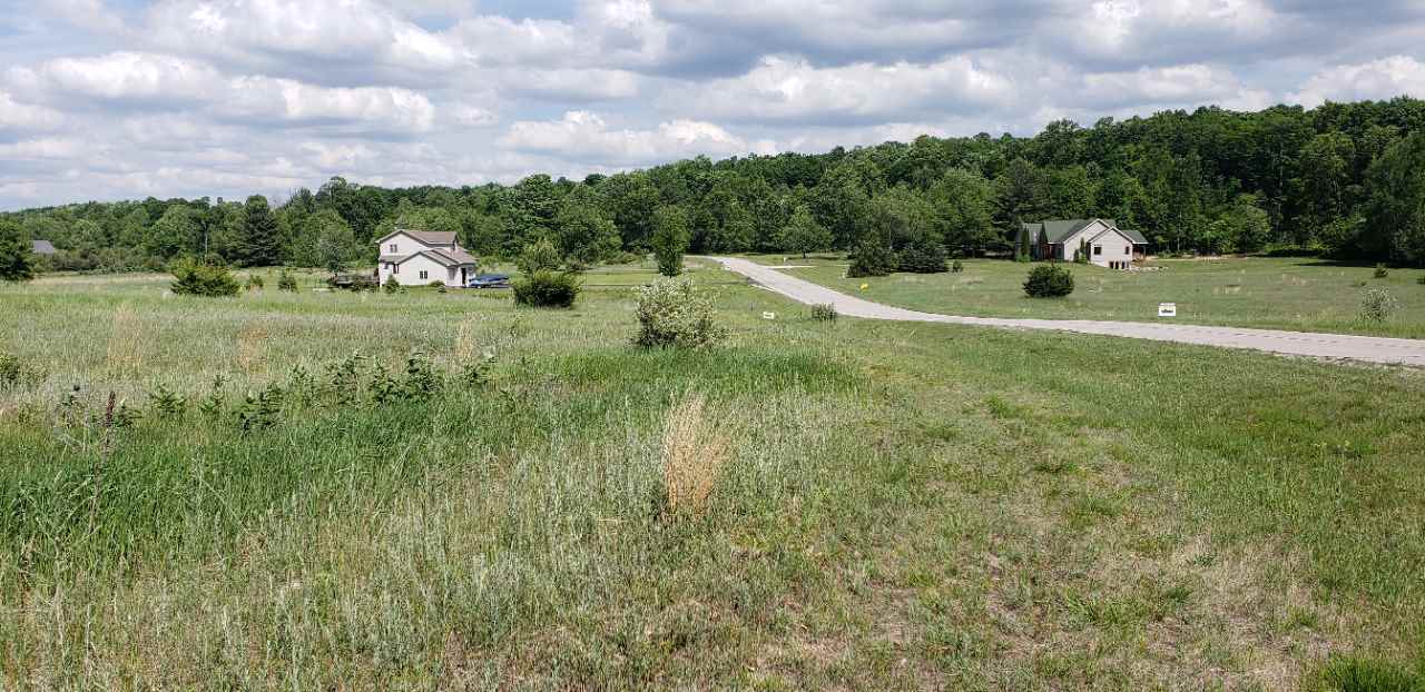 Lot 43 Alden Meadows Alden MI 49612