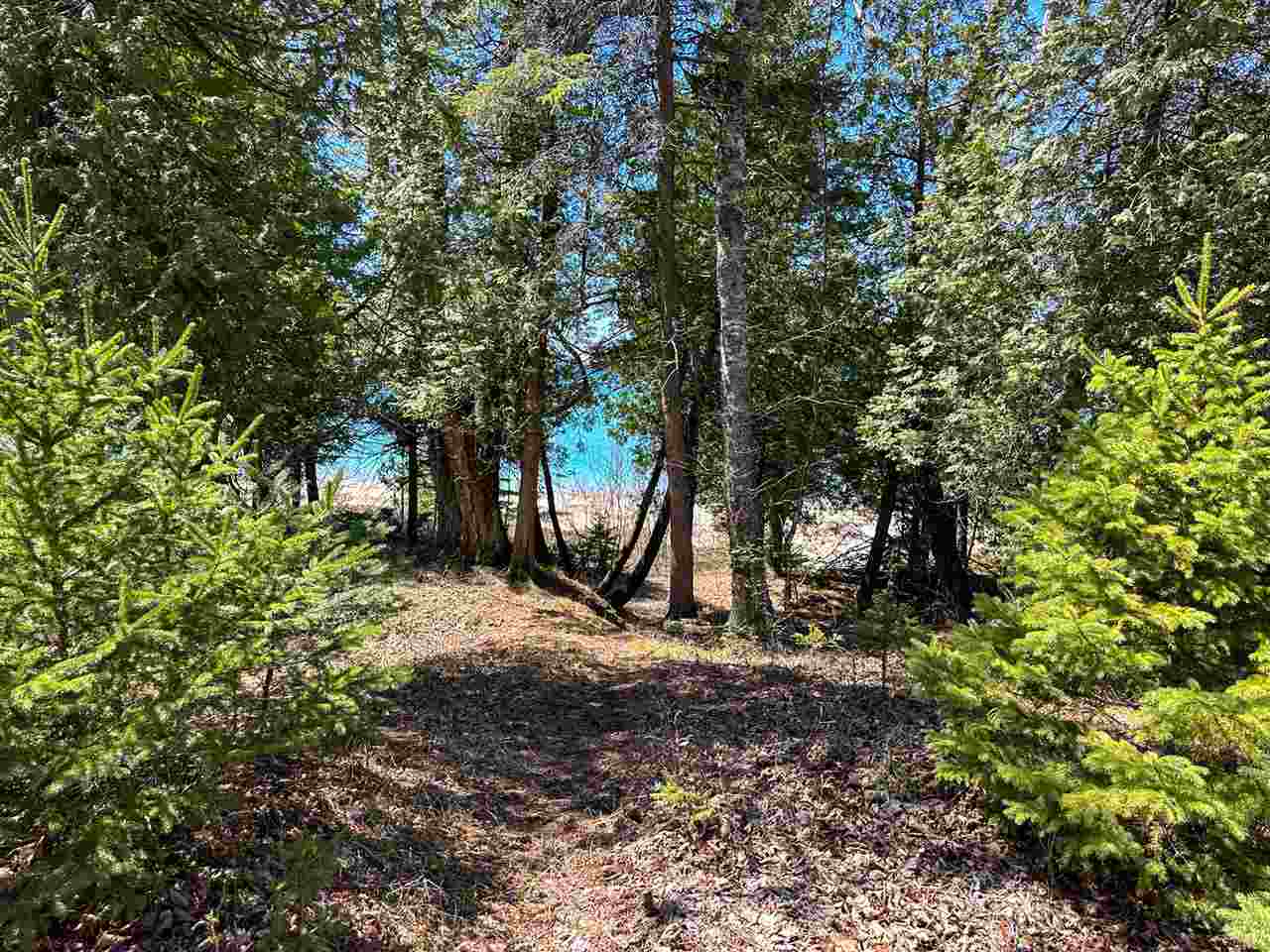 Lot 4 Greene's Bay Drive Beaver Island MI 49782