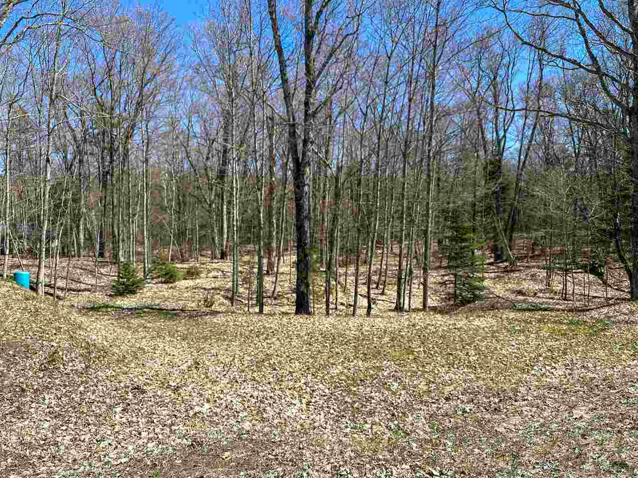 Lot 4 Greene's Bay Drive Beaver Island MI 49782