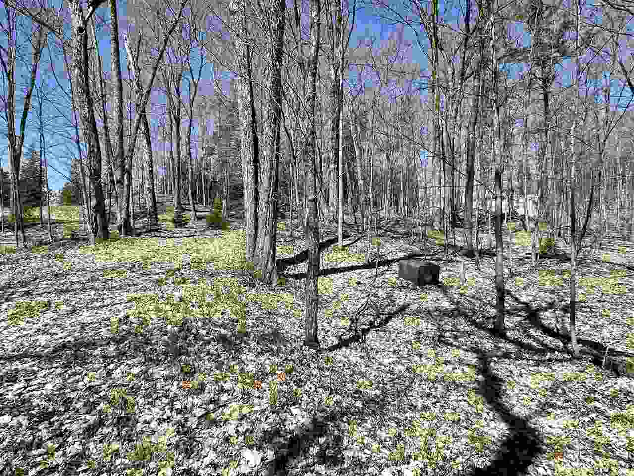 Lot 4 Greene's Bay Drive Beaver Island MI 49782