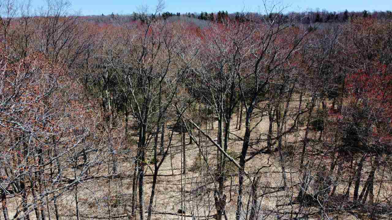 Lot 4 Greene's Bay Drive Beaver Island MI 49782