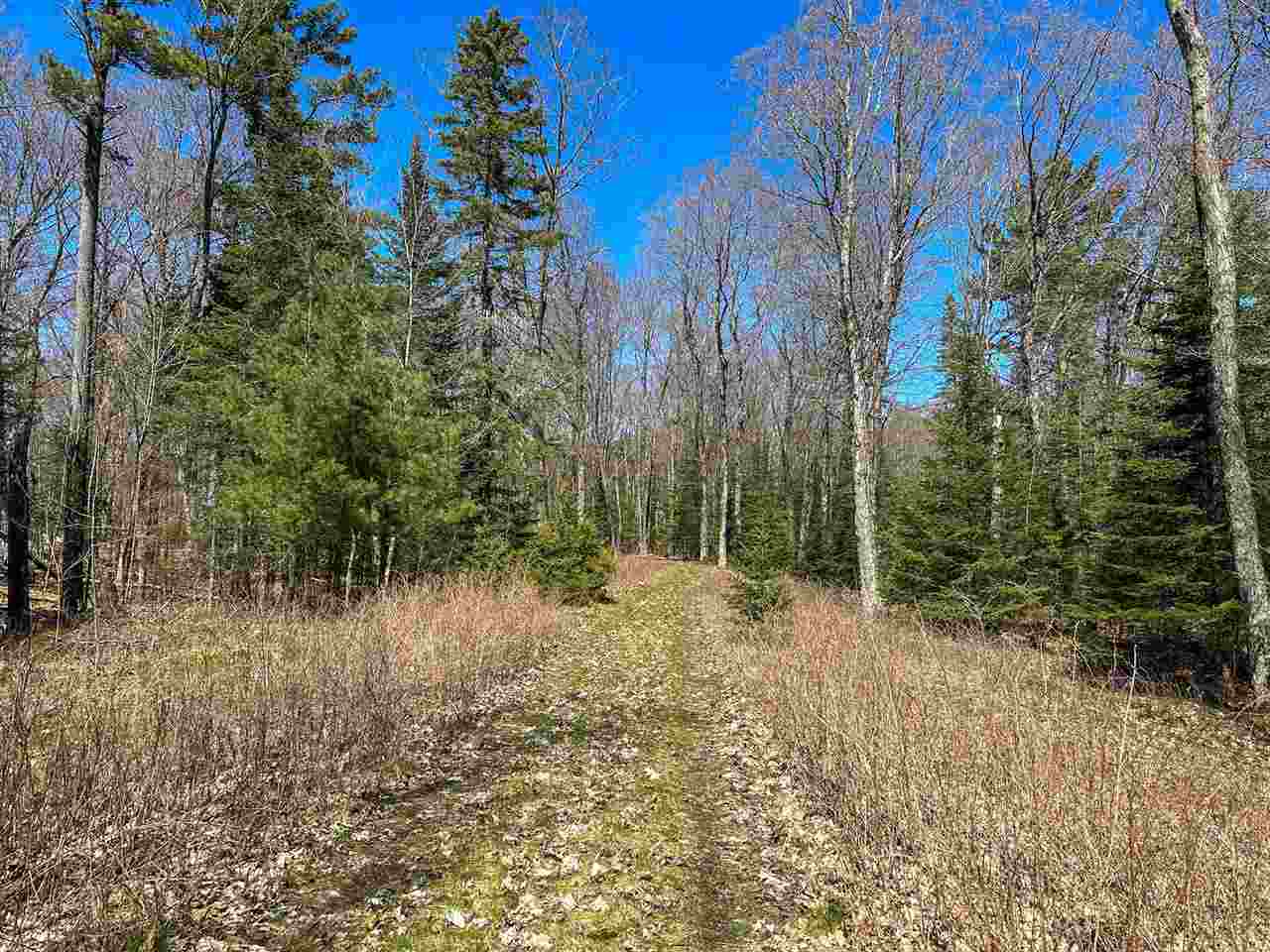 Lot 4 Greene's Bay Drive Beaver Island MI 49782
