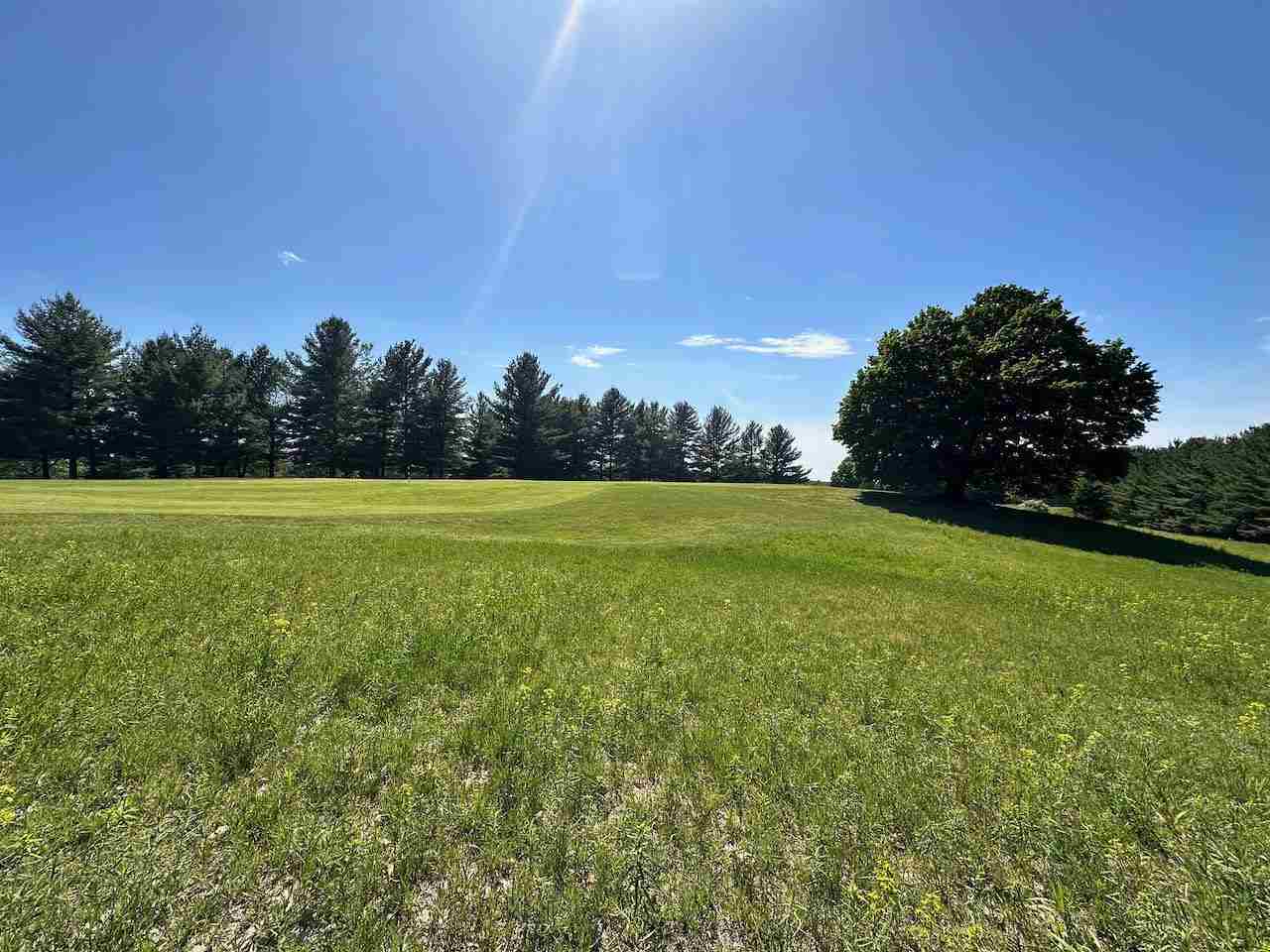 Lot 7 Schoolcraft Road Bellaire MI 49615