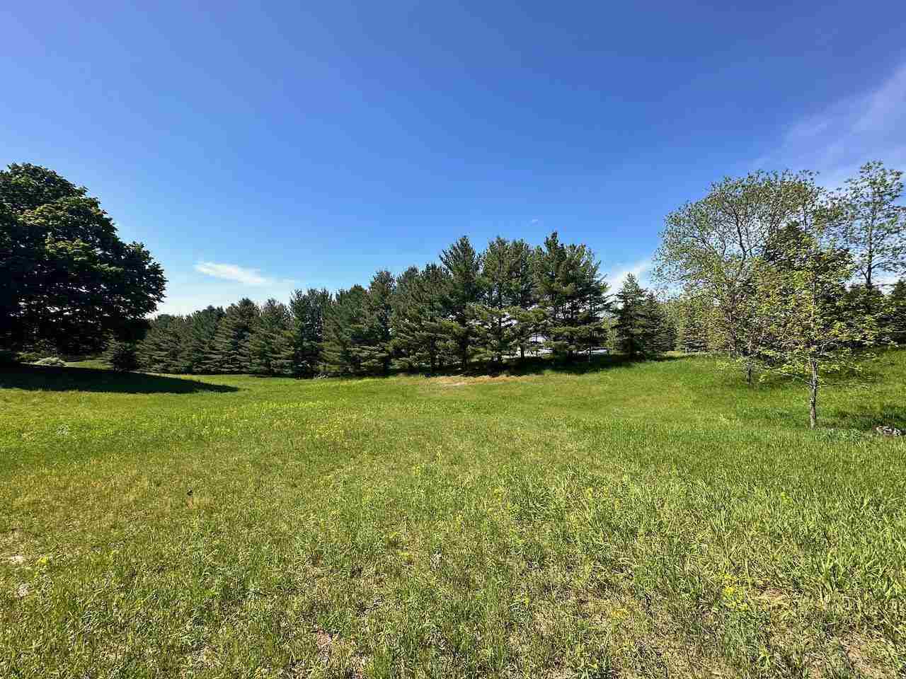 Lot 7 Schoolcraft Road Bellaire MI 49615