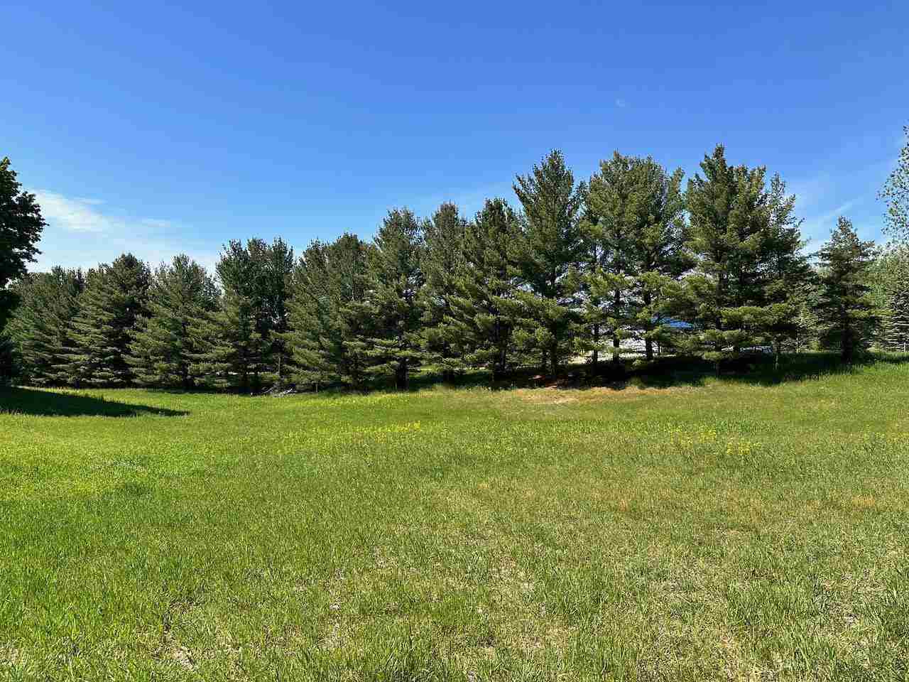 Lot 7 Schoolcraft Road Bellaire MI 49615