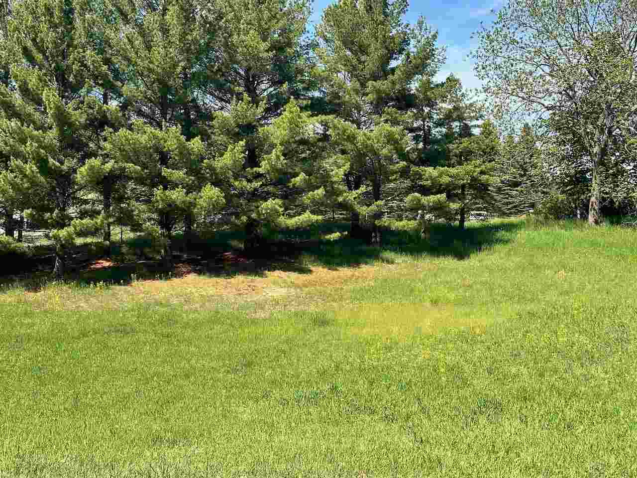 Lot 7 Schoolcraft Road Bellaire MI 49615