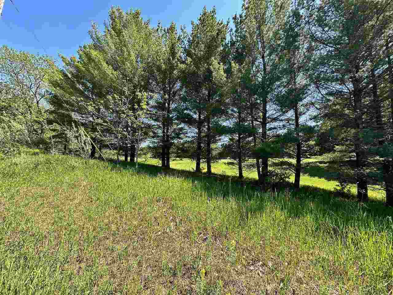 Lot 7 Schoolcraft Road Bellaire MI 49615