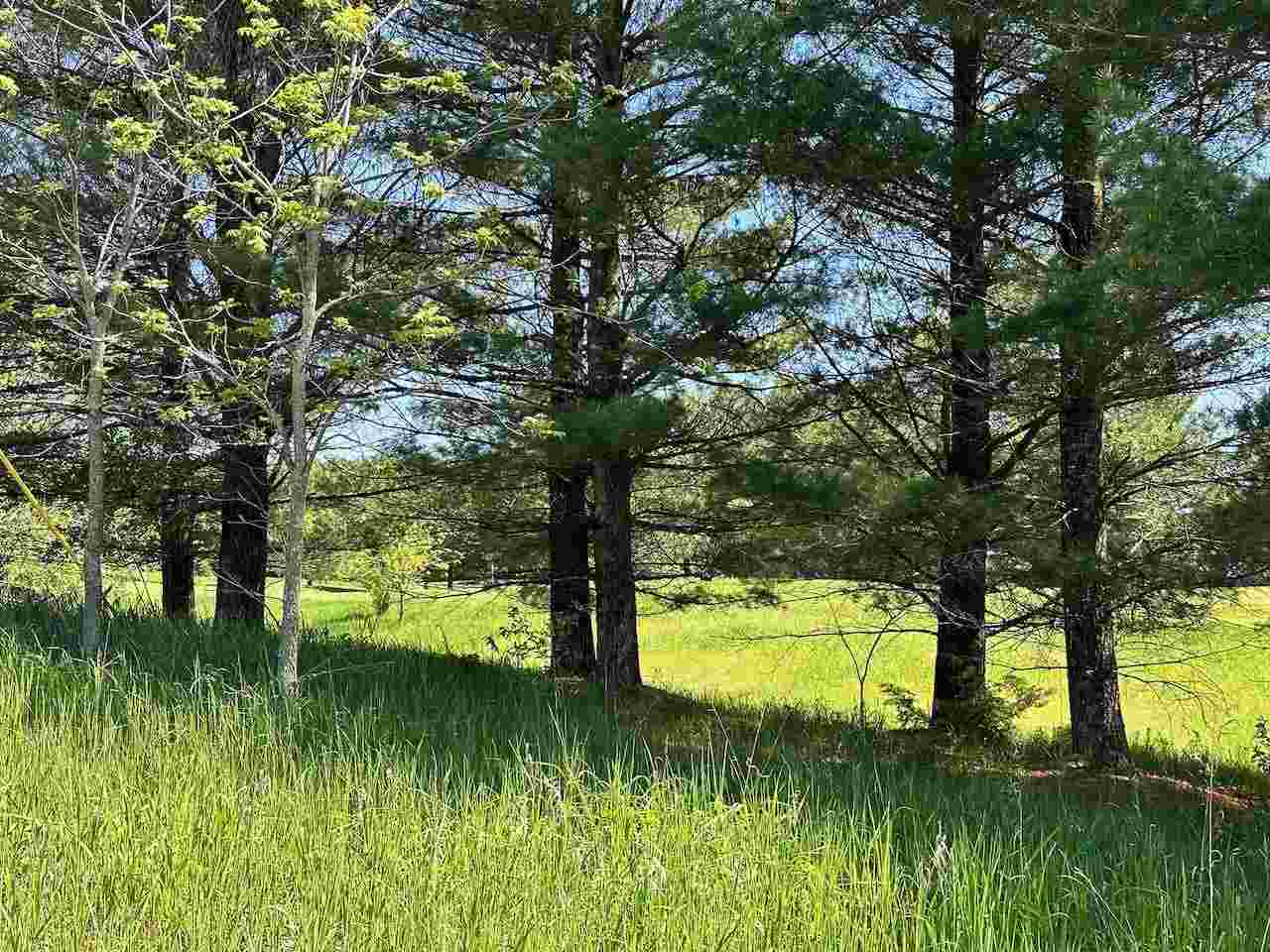 Lot 7 Schoolcraft Road Bellaire MI 49615