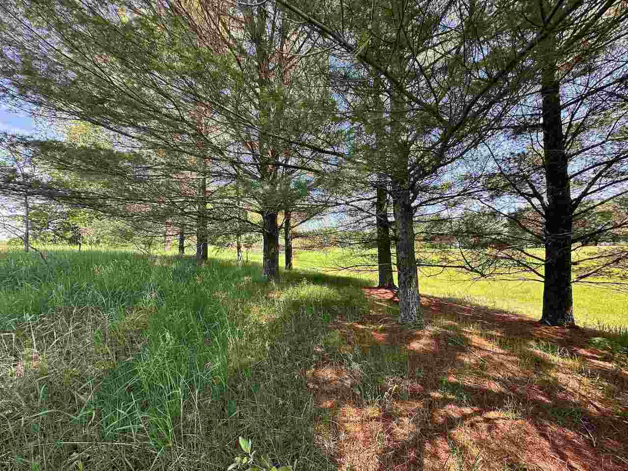 Lot 7 Schoolcraft Road Bellaire MI 49615