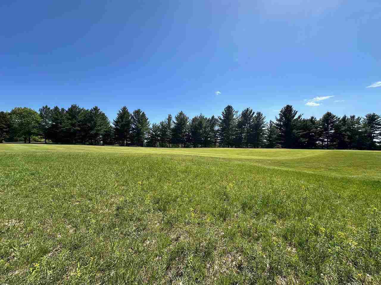 Lot 7 Schoolcraft Road Bellaire MI 49615