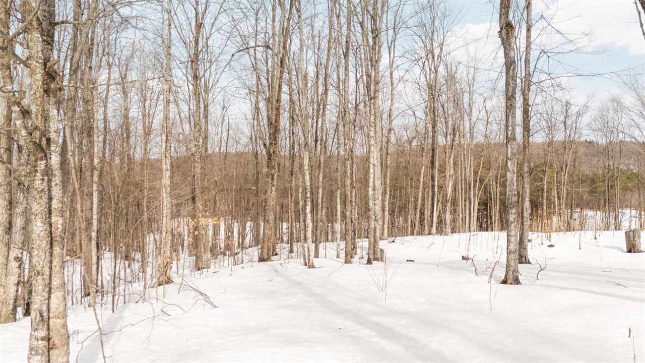 2157 N Black Rock Way Harbor Springs MI 49740