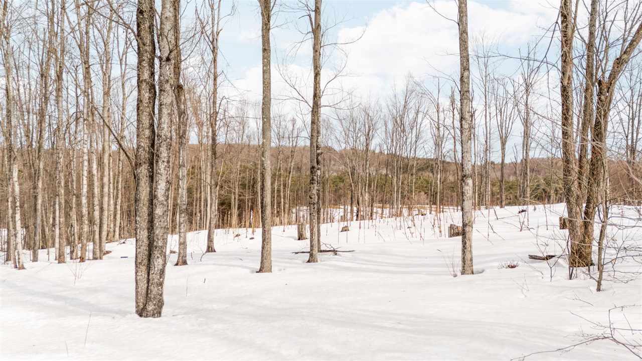 2157 N Black Rock Way Harbor Springs MI 49740