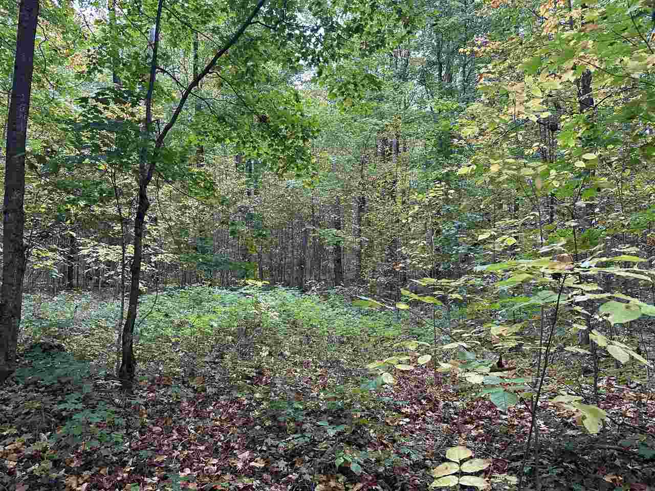 V/l Parcel K Beaver Trail Mancelona MI 49659