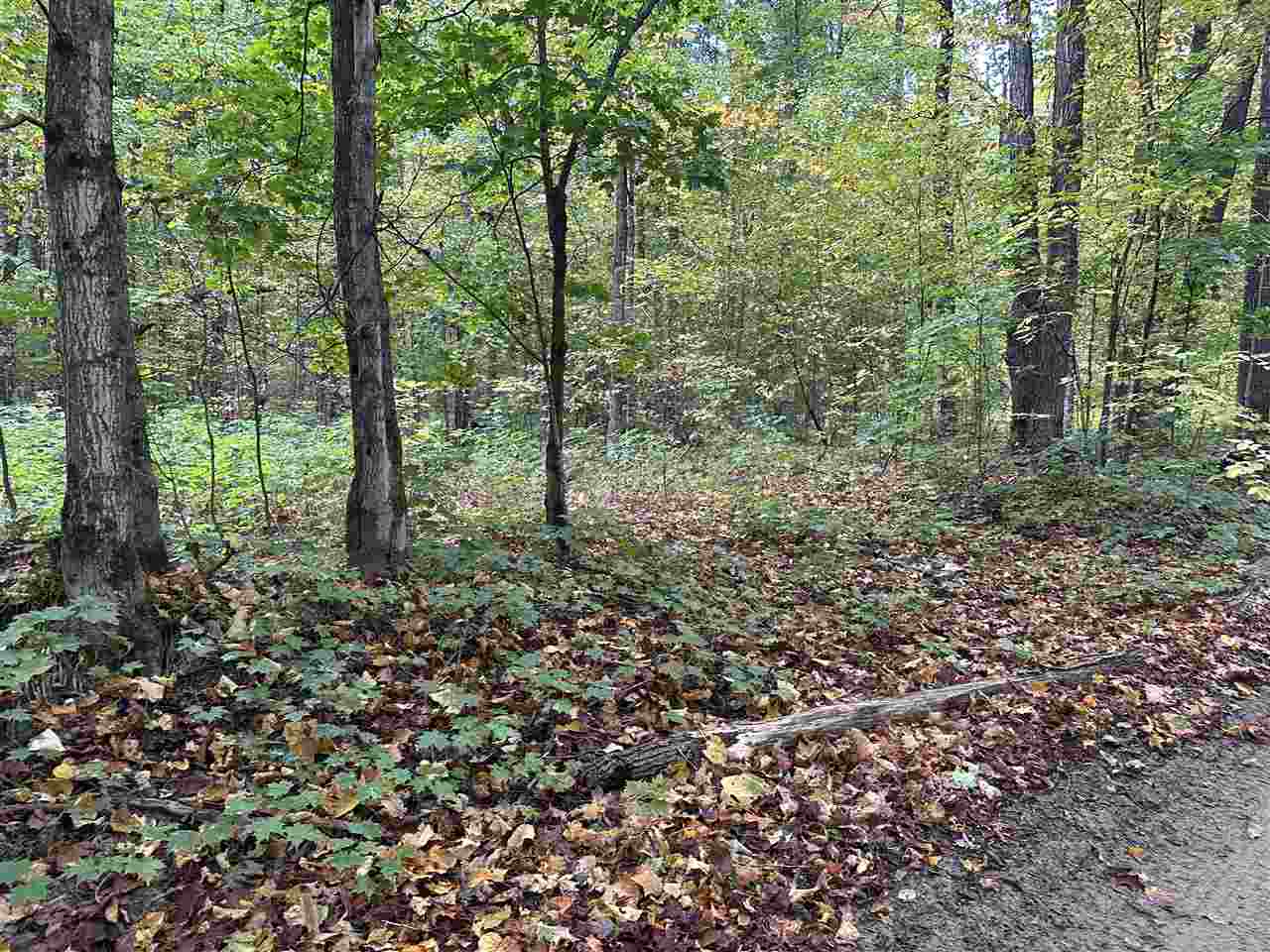 V/l Parcel K Beaver Trail Mancelona MI 49659