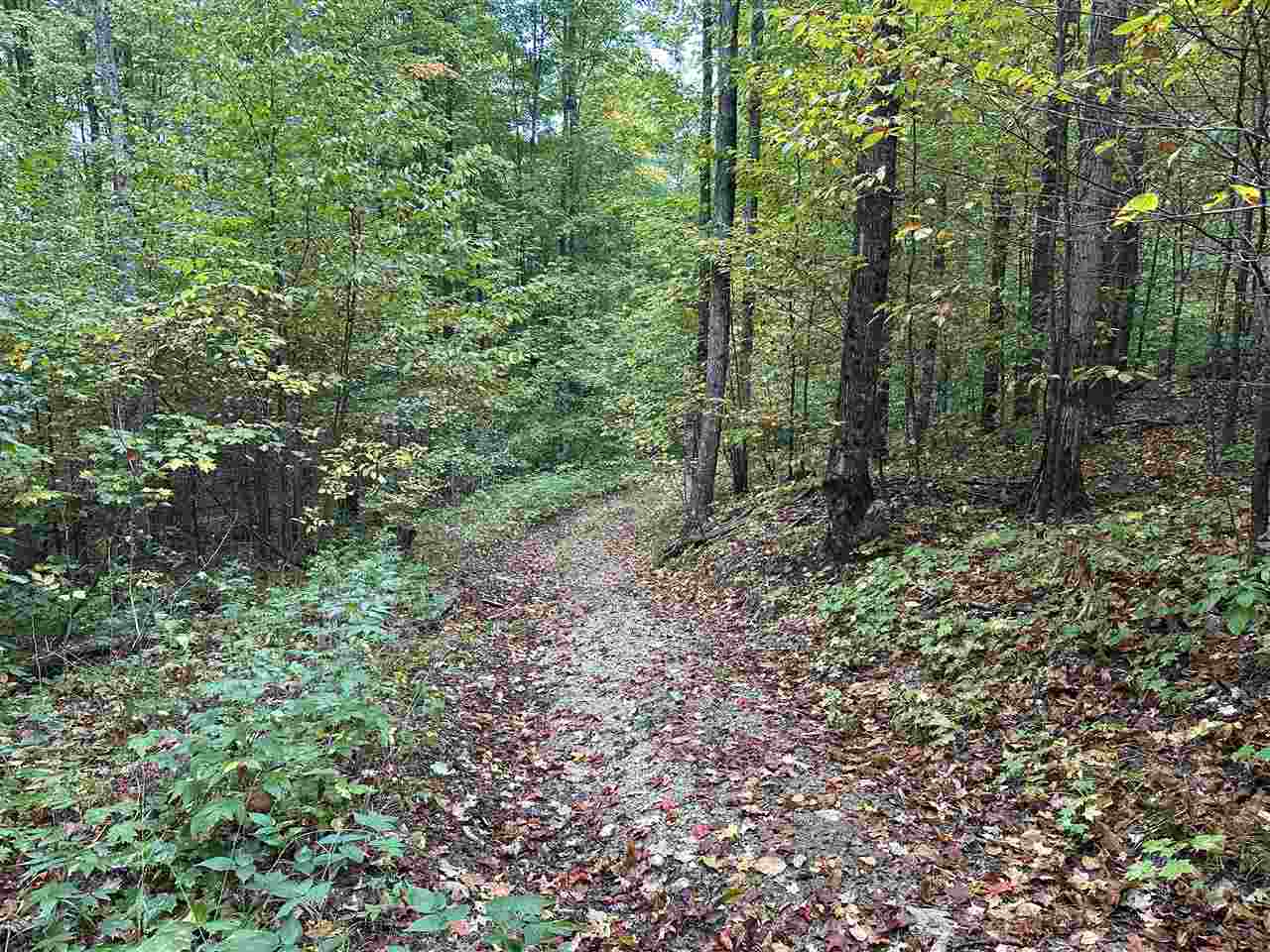 V/l Parcel K Beaver Trail Mancelona MI 49659