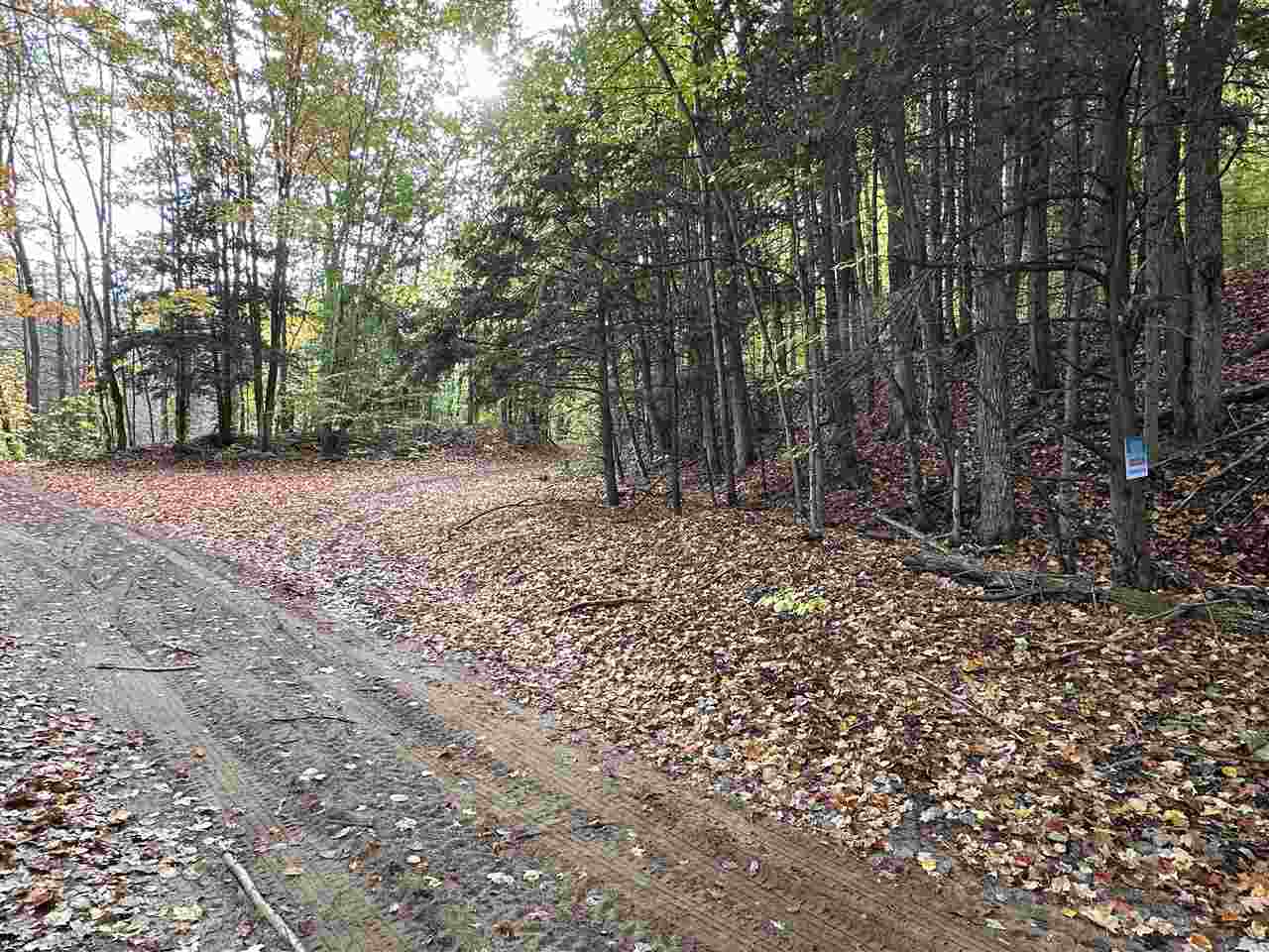 V/l Parcel K Beaver Trail Mancelona MI 49659