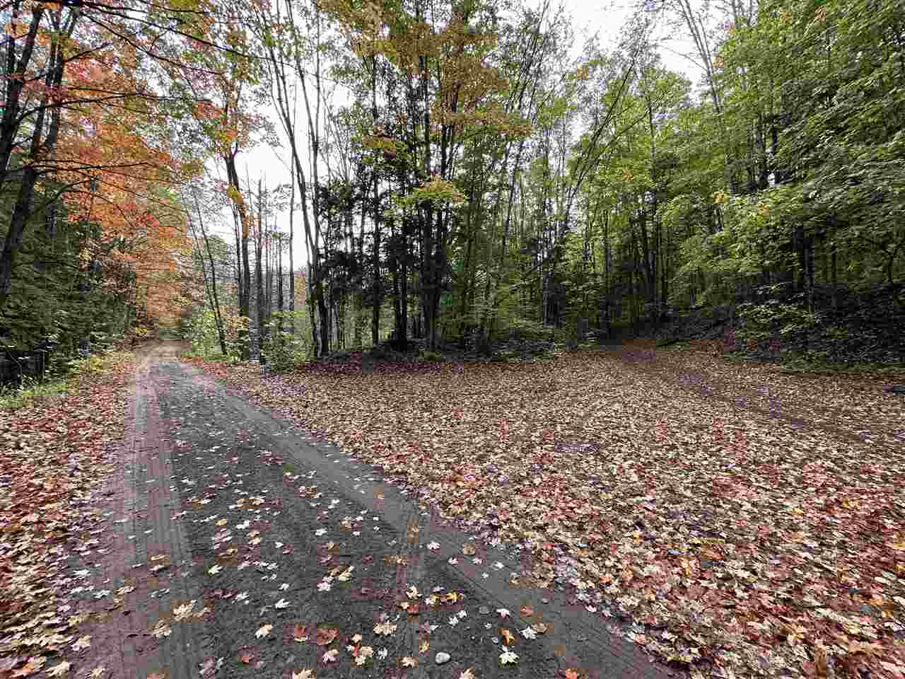 V/l Parcel K Beaver Trail Mancelona MI 49659