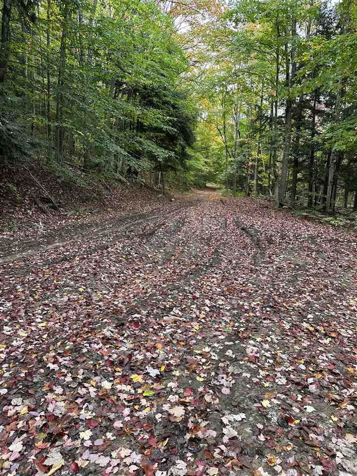 V/l Parcel K Beaver Trail Mancelona MI 49659