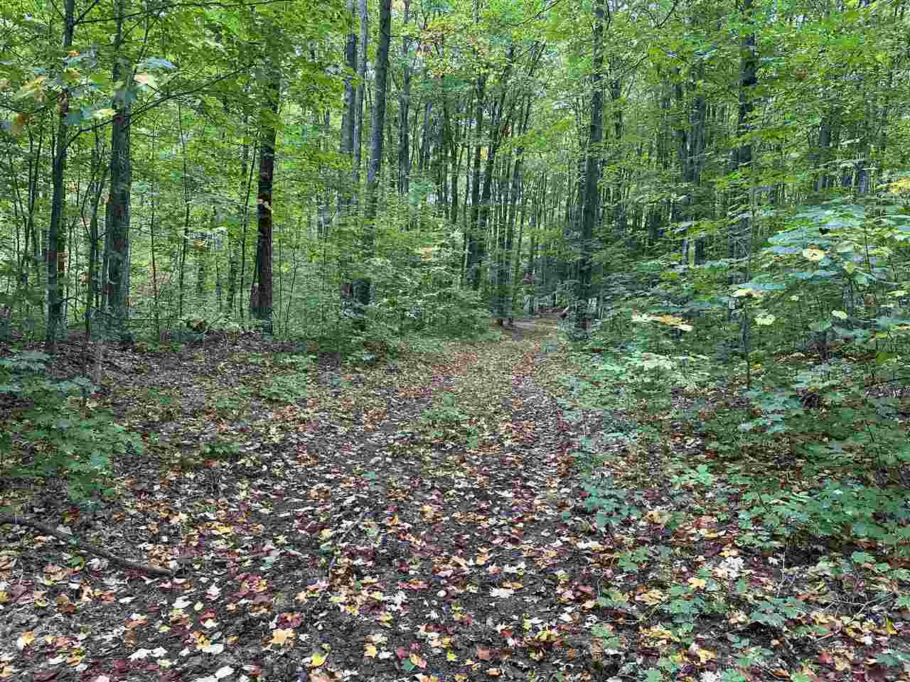 V/l Parcel K Beaver Trail Mancelona MI 49659