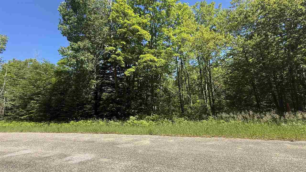 Lots 259 & 260 Cliffmont Mancelona MI 49659