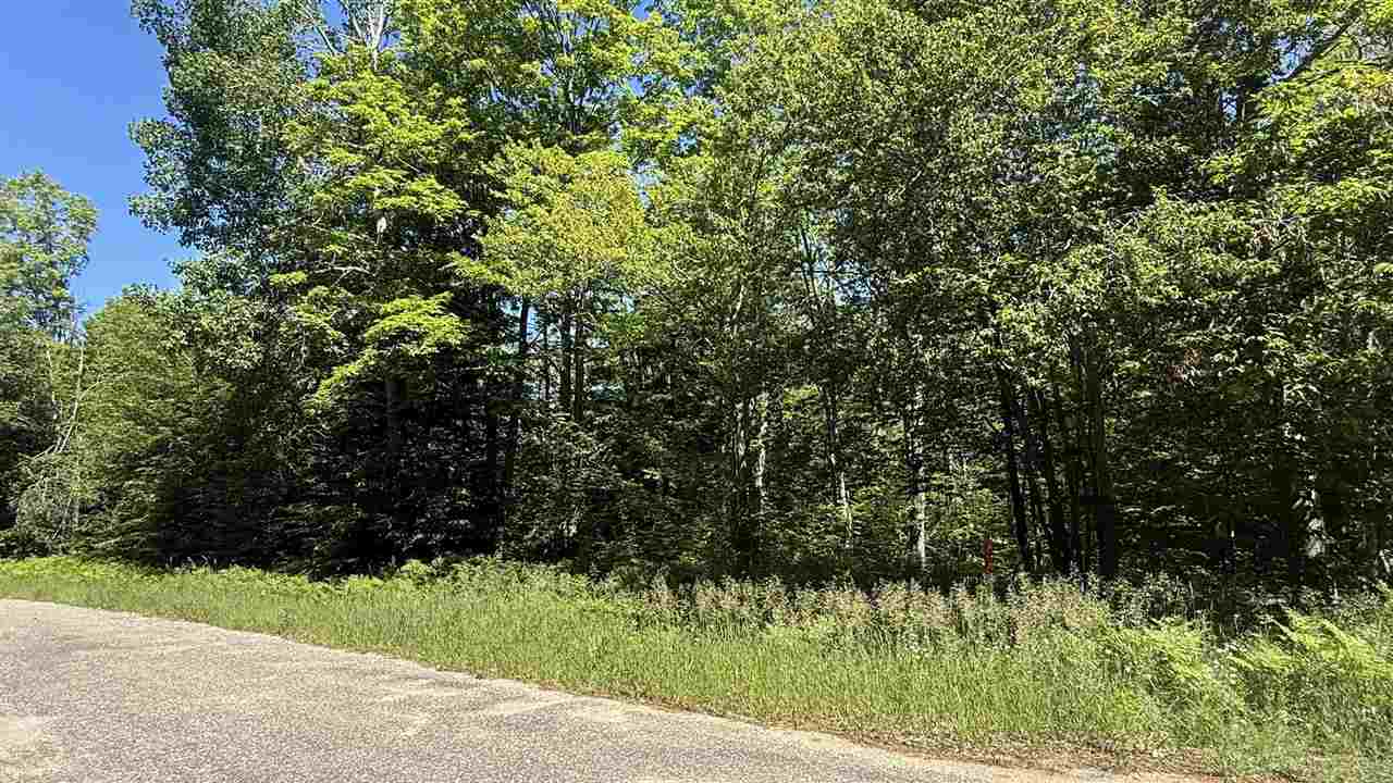 Lots 259 & 260 Cliffmont Mancelona MI 49659