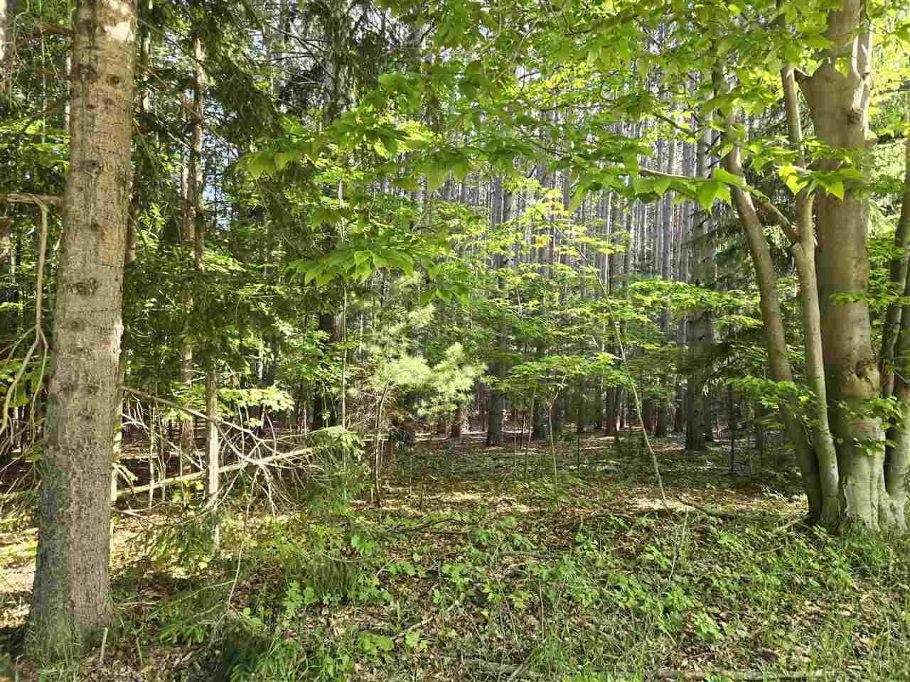 8869 Ferry Road East Jordan MI 49727
