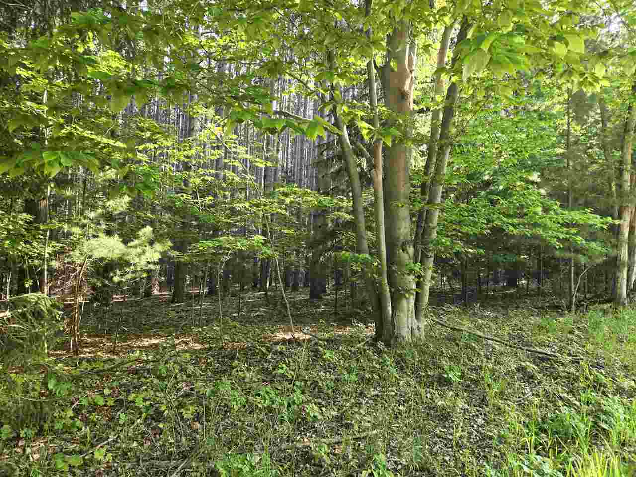 8869 Ferry Road East Jordan MI 49727