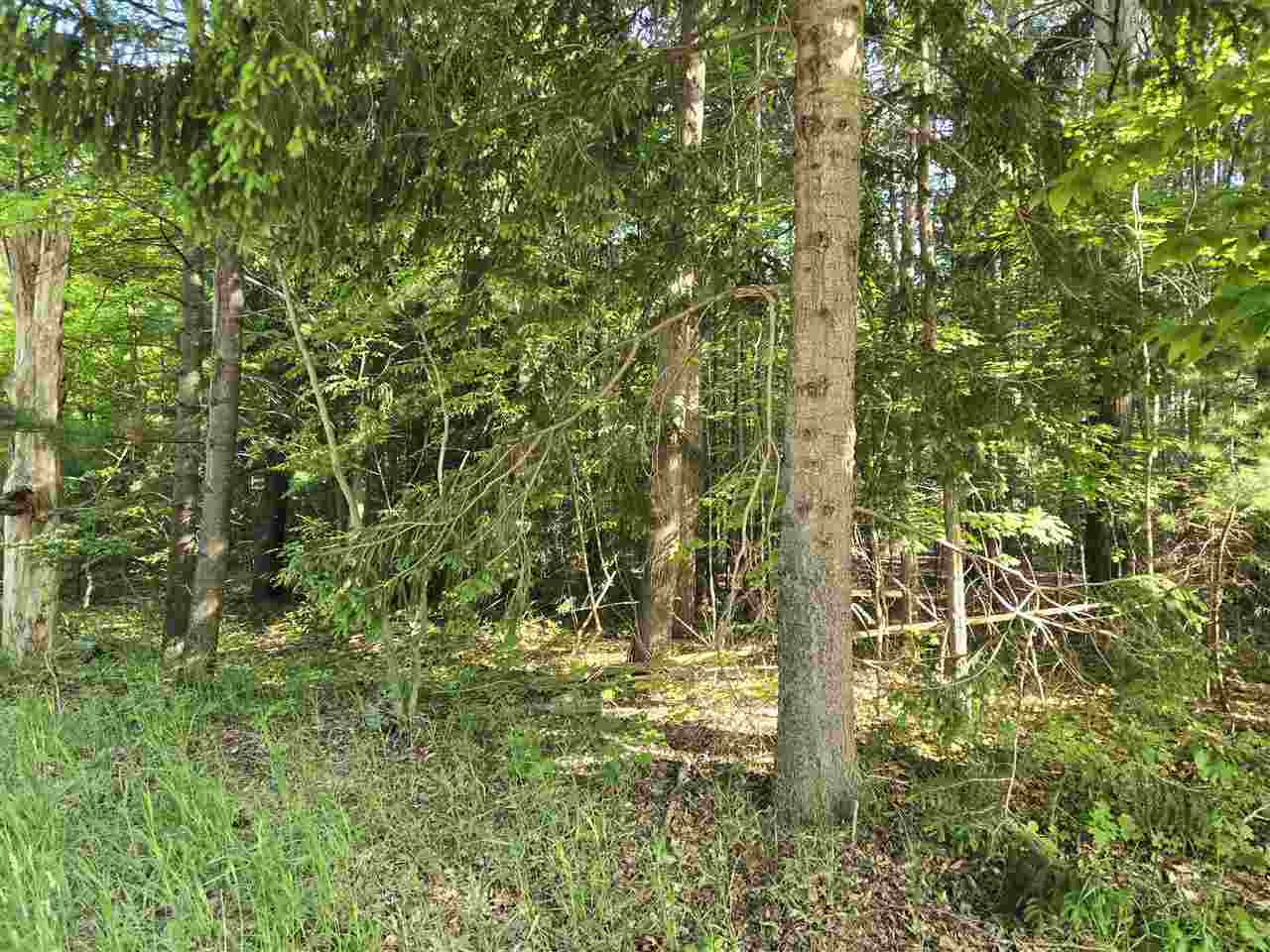 8869 Ferry Road East Jordan MI 49727
