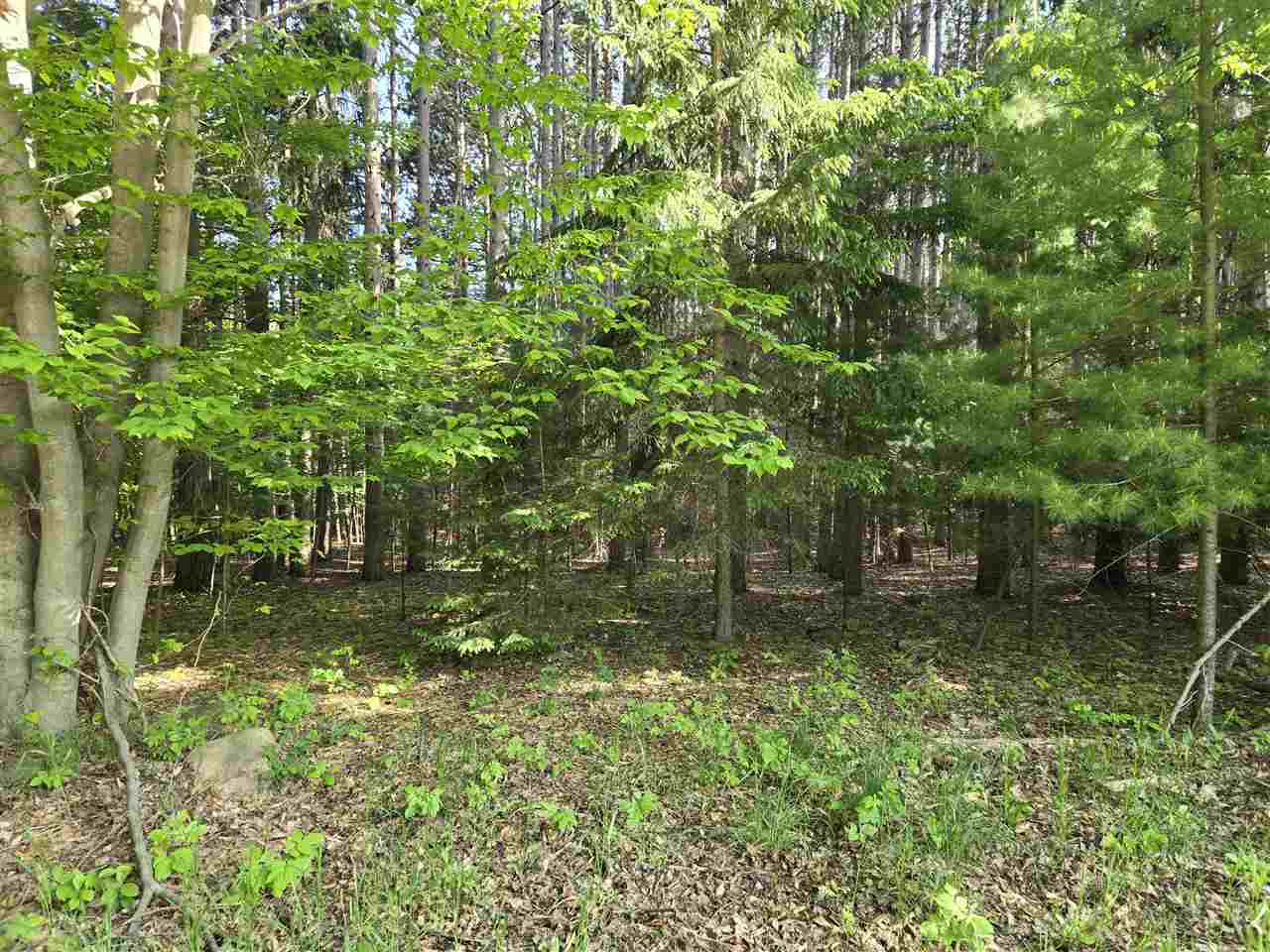 8869 Ferry Road East Jordan MI 49727